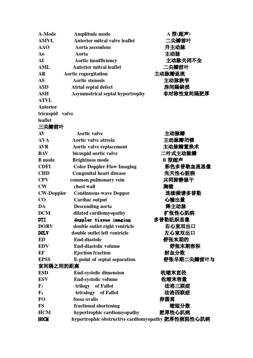 心脏中英文对照