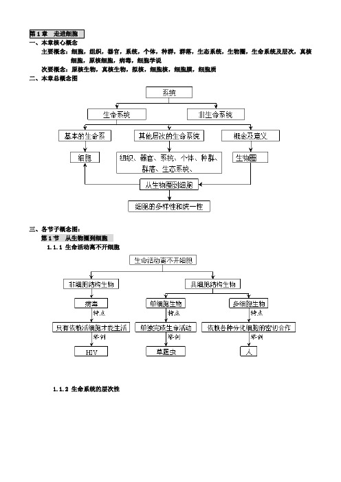 必修一概念图汇编