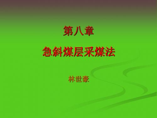 煤矿开采学课件第一篇采煤方法第八章  急倾斜煤层开采