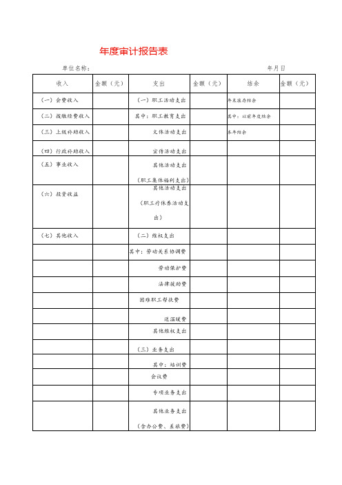 年度审计报告表模板