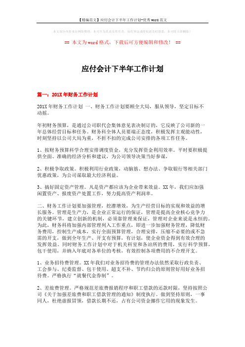 【精编范文】应付会计下半年工作计划-优秀word范文 (7页)