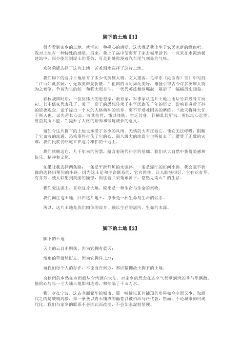 脚下的土地作文
