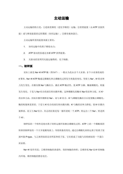 主动运输——钠钾泵