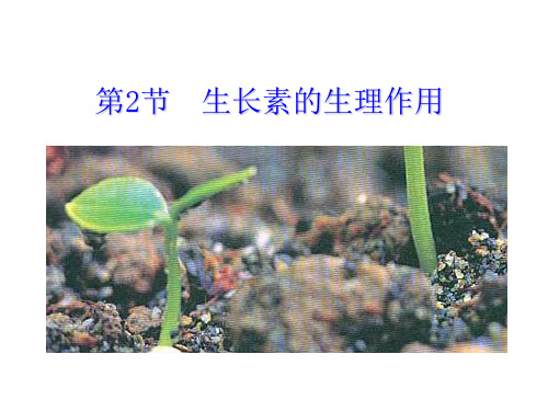 高中生物3.2生长素的生理作用优秀课件