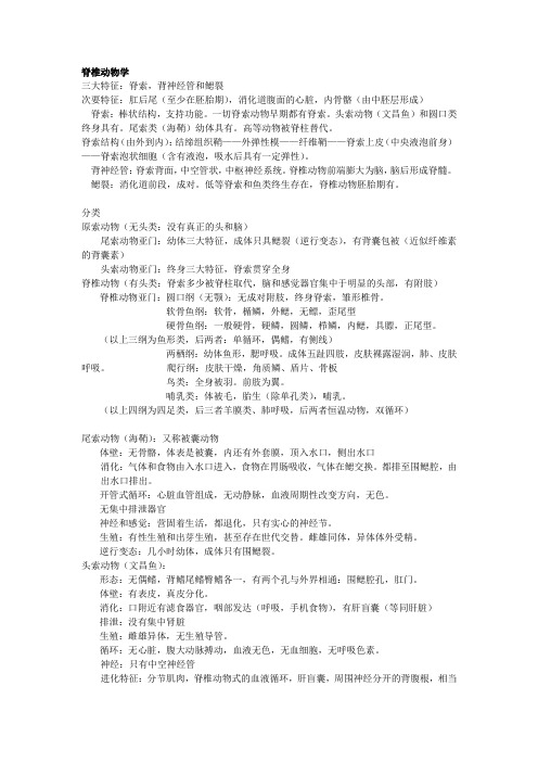脊索动物