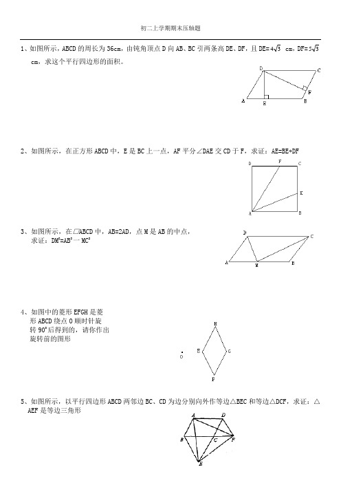 北师大版八年级上期末压轴大题精选解析
