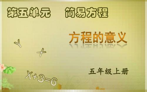 方程的意义 PPT课件