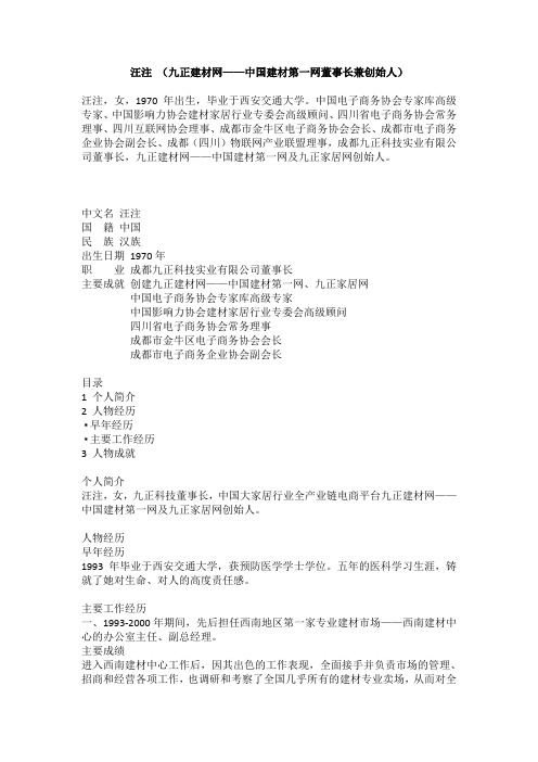 汪注-九正科技CEO简介