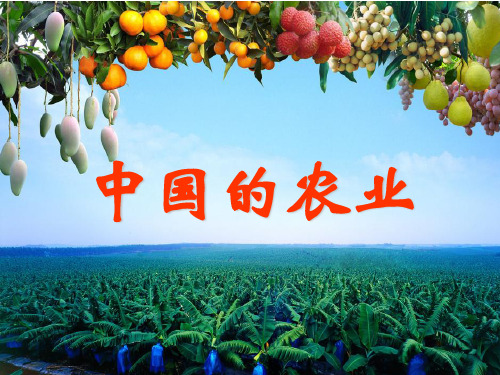 高三一轮复习高中中国地理课件  中国农业(共40张PPT)
