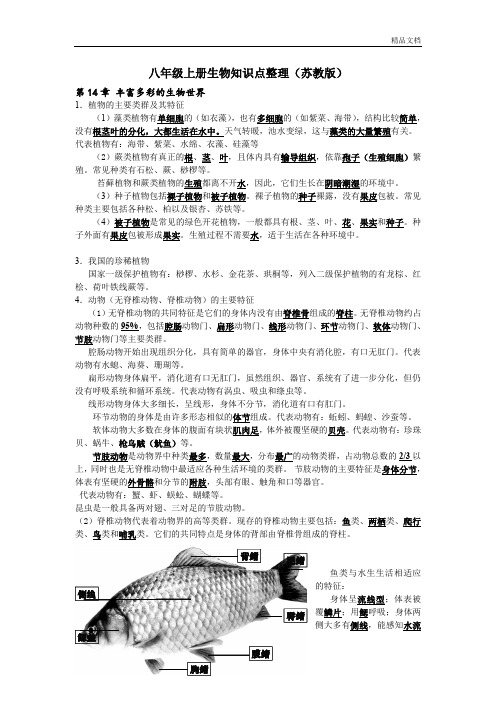 八年级上册生物期中知识点整理(修改版)