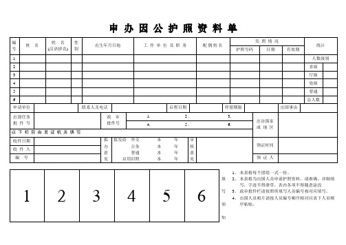 申办因公护照资料单