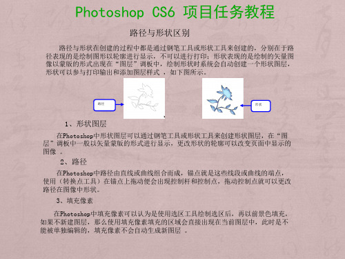 路径与形状区别[1页]
