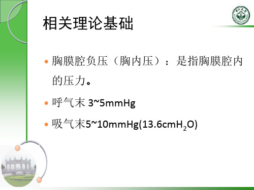 实验性气胸探索性试验