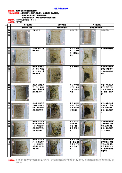 面包发霉实验记录66