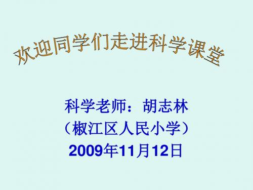 教科版小学科学四年级上册第四单元《身体的结构》PPT课件