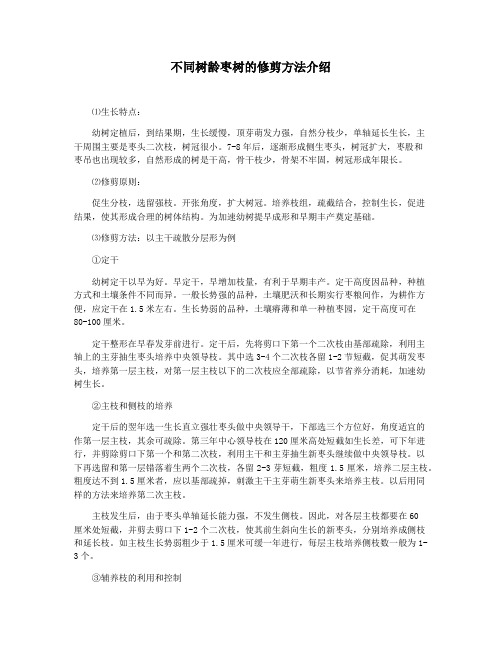 不同树龄枣树的修剪方法介绍