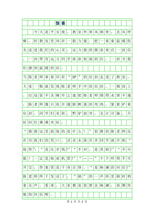 2019年惊喜作文500字