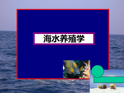 大型海藻养殖技术PPT课件