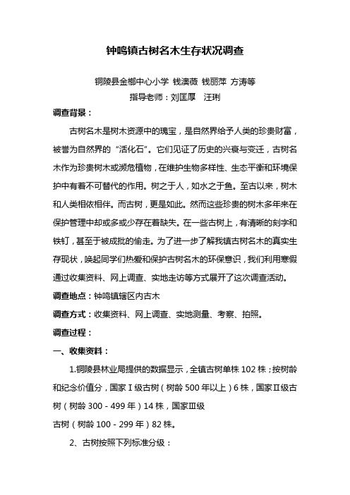钟鸣镇古树生存状况调2