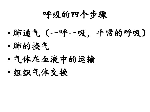 呼吸的四个过程
