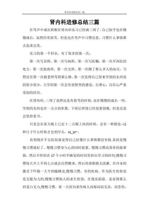 肾内科进修总结三篇