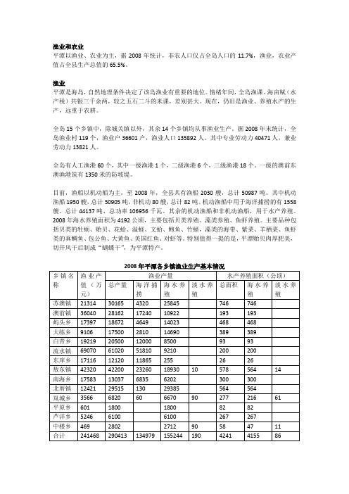 平潭经济