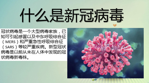 抗新冠疫情班会ppt课件(图文并茂)