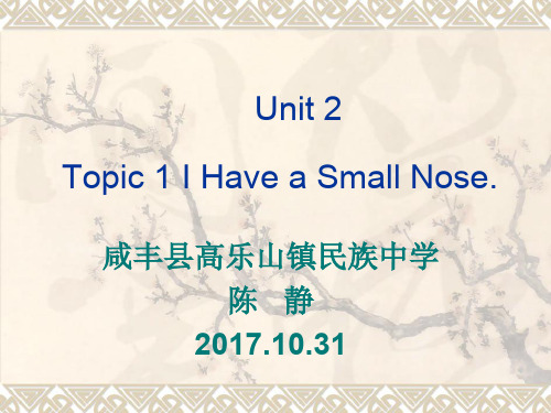 英语仁爱版七年级上册《Unit 2 Looking Different Topic 1 I h...》课件公开课 (3)