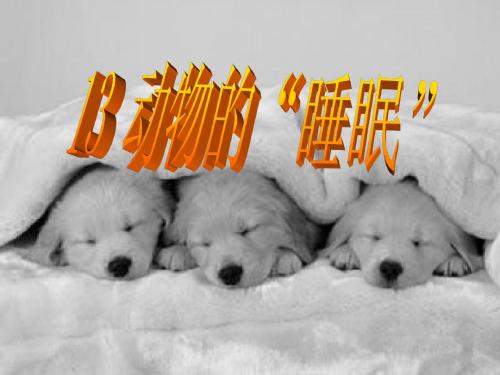 动物的睡眠 PPT优秀课件4