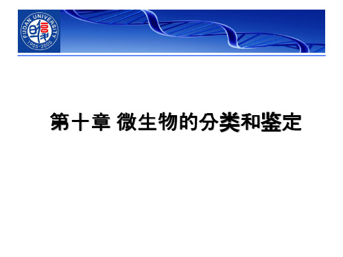 11+微生物分类