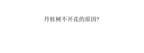 丹桂树不开花的原因-