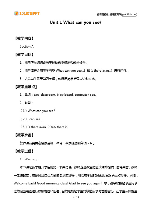 Unit1《What can you see？》(Section A)教案