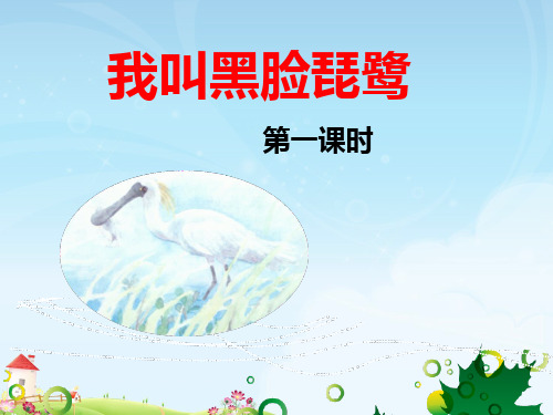 苏教版小学二年级语文上册《我叫黑脸琵鹭》名师课件(第一课时)