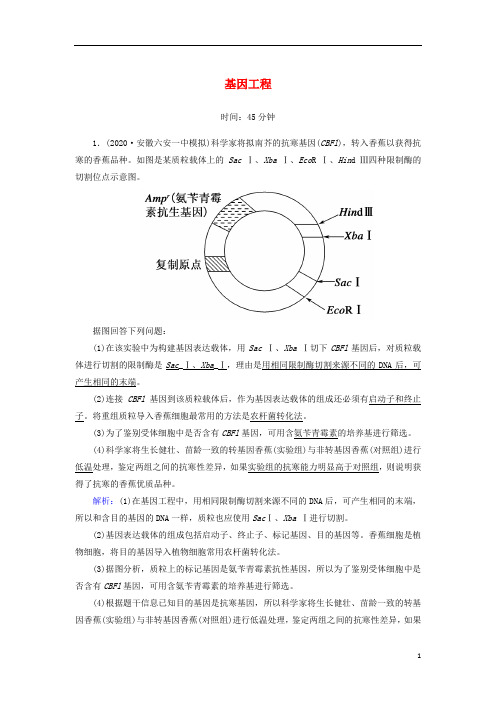 高考生物一轮复习第十一单元现代生物科技专题第36讲基因工程课时作业含解析新人教版