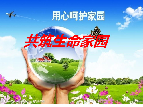 人教版道德与法治九年级上册6.2共筑生命家园课件_2