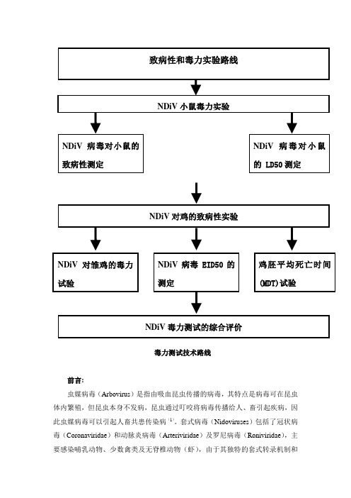 N 病毒毒力测试实验