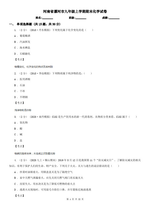 河南省漯河市九年级上学期期末化学试卷