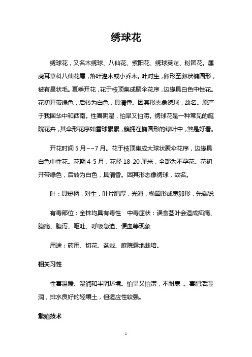 绣球花