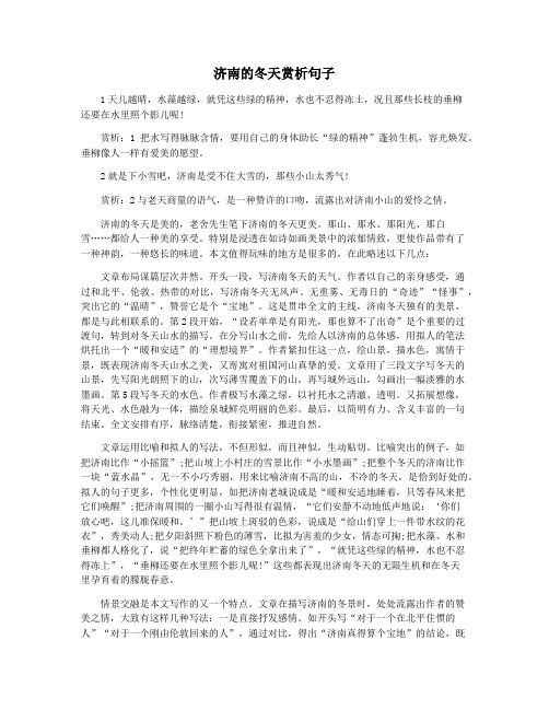 济南的冬天赏析句子
