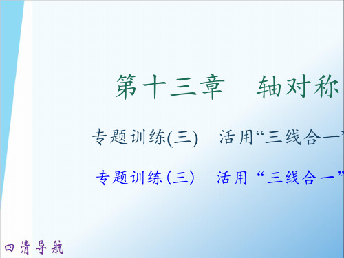 专题训练三 活用“三线合一”巧解题
