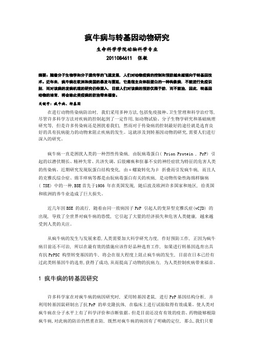 疯牛病与转基因动物研究(1)
