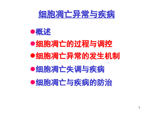细胞凋亡