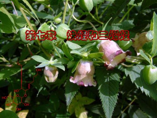 炔烃和二烯烃