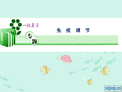 高考生物一轮复习：免疫调节