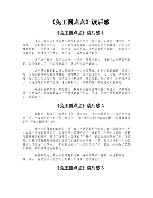 《兔王圆点点》读后感