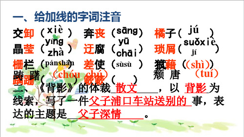 初中语文八年级上册《11背影》 (1)