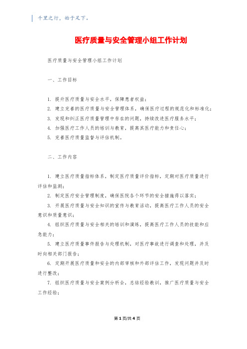 医疗质量与安全管理小组工作计划