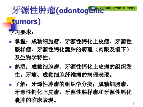 牙源性肿瘤