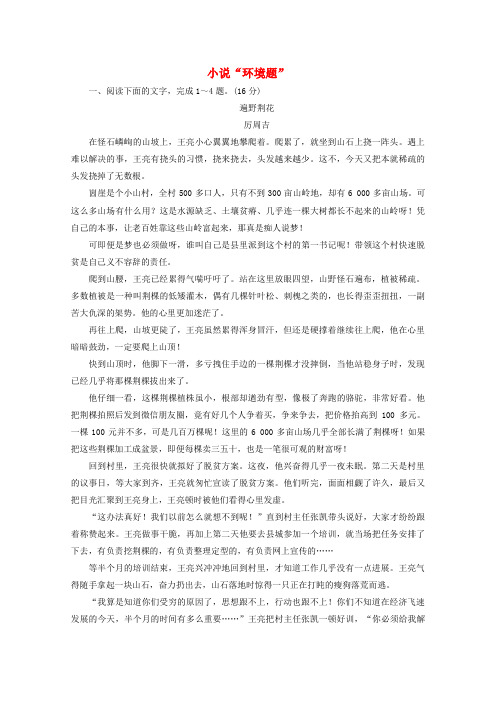 高考语文一轮复习小说“环境题”训练(Word版含答案)