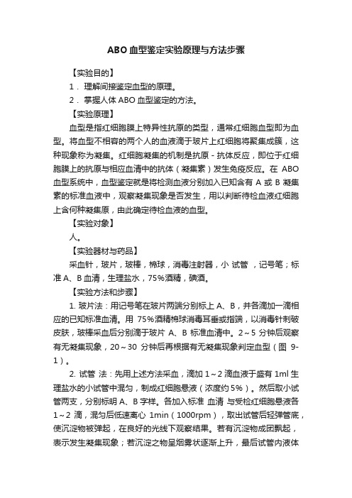 ABO血型鉴定实验原理与方法步骤